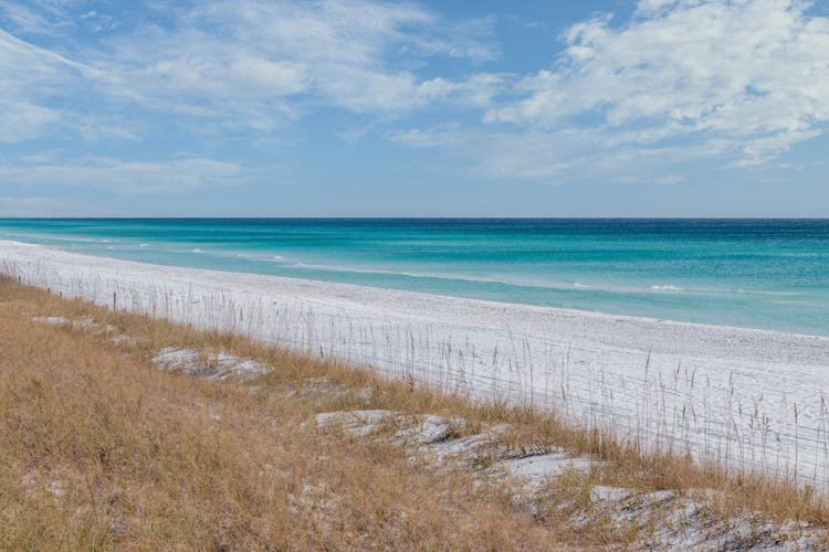 Thing To Do Beachfront